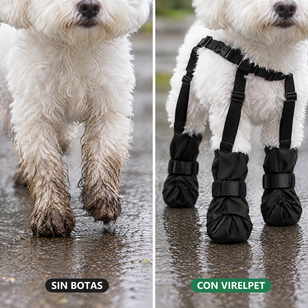 Antes y después: patas llenas de barro sin botas y patas limpias con las botas VirelPet