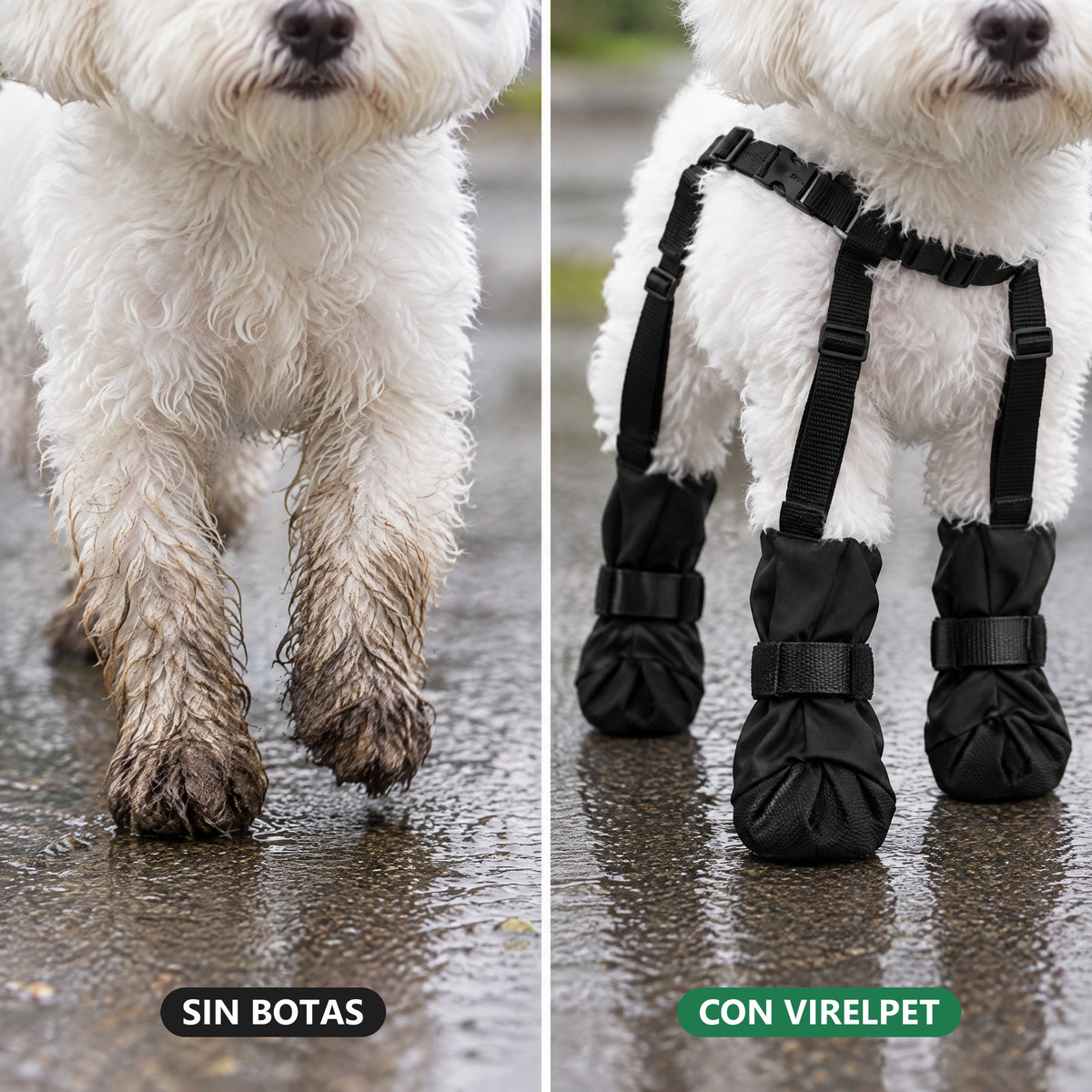 Antes y después: patas llenas de barro sin botas y patas limpias con las botas VirelPet